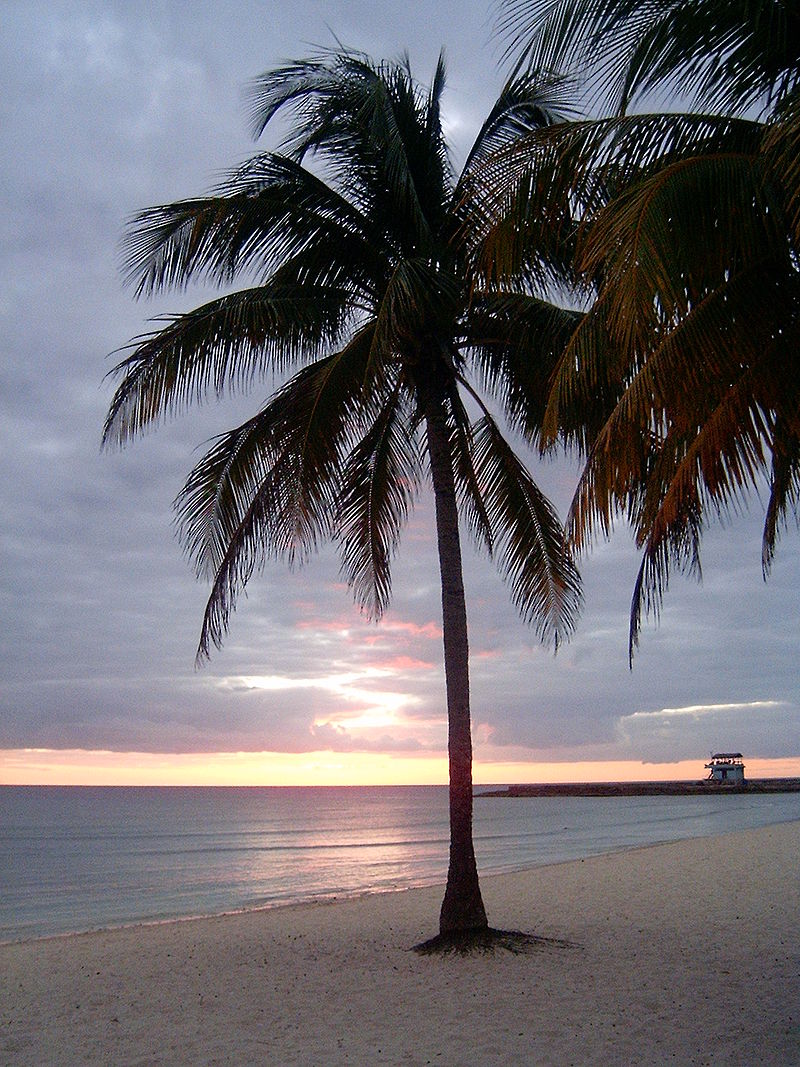 800px-Playagiron.jpg